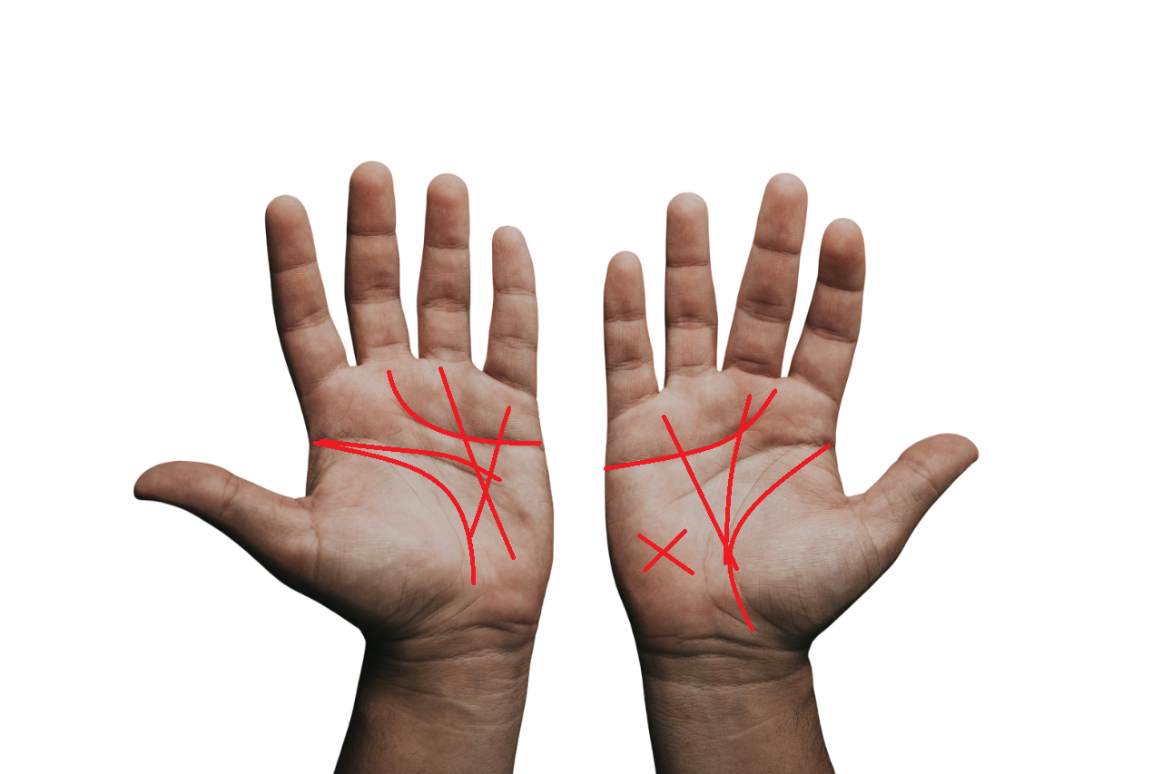 Palmistry Image 1